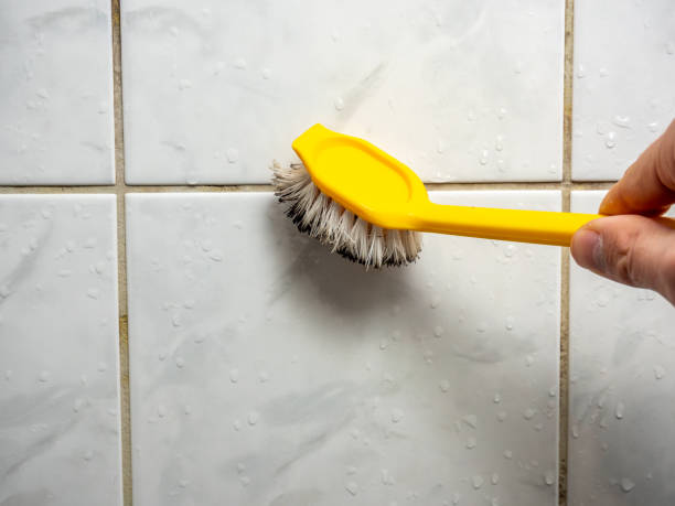 Best Emergency Mold Removal  in New York, NY