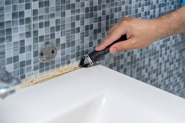 Best Attic Mold Removal  in New York, NY